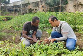 ���ޡ��������N���Ї���